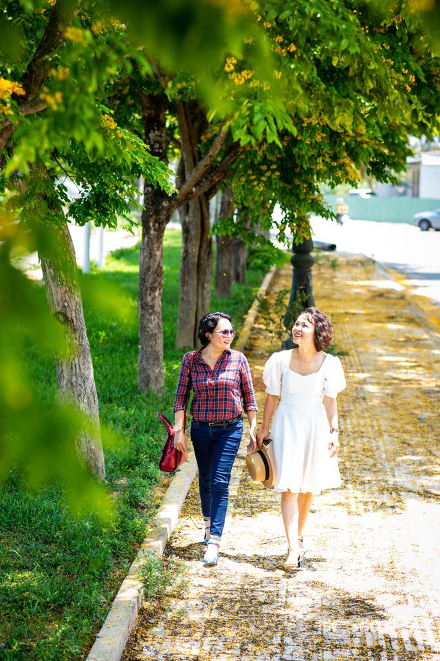 Ngắm[-]hoa[-]sưa[-]nở[-]vàng[-]rực[-]đường[-]phố[-]Tam[-]Kỳ[-]